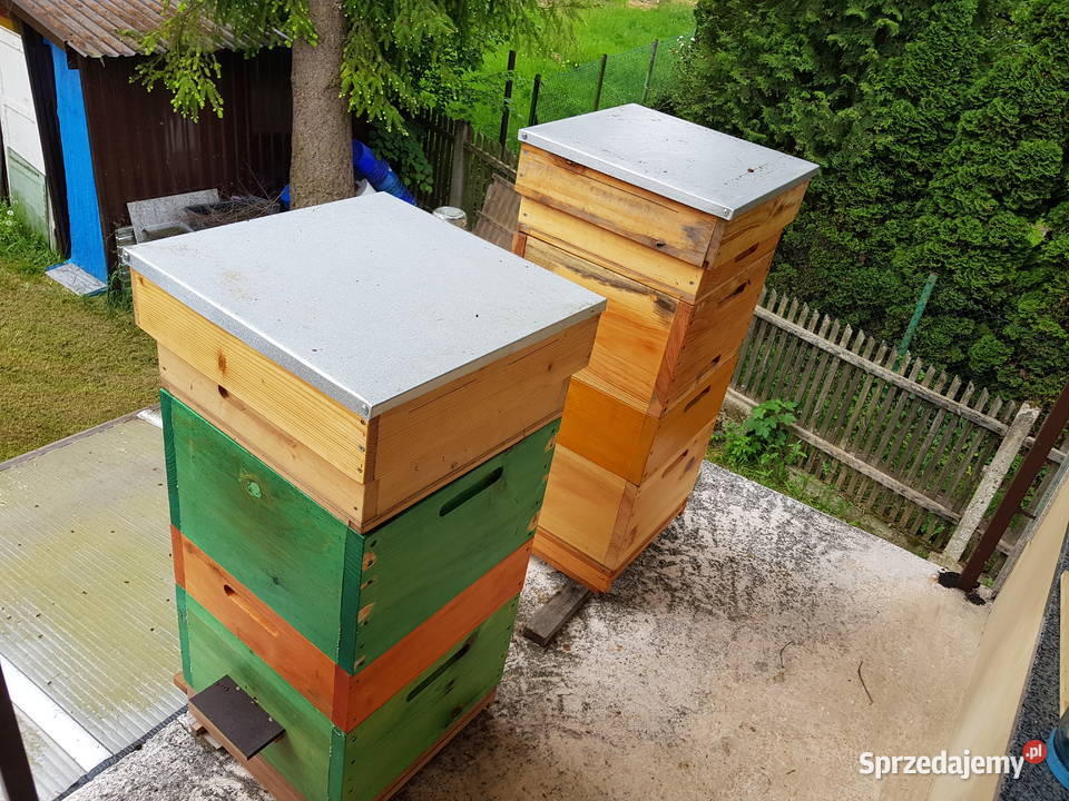 Rodziny i odklady pszczele Sklenar G10 i H47