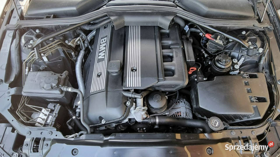 BMW 520 170 Skóry 6 Bieg NAVI GWARANCJA Zakup Płońsk