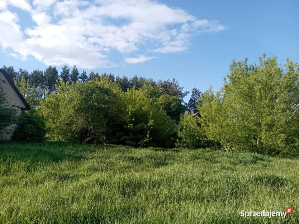 Sprzedam grunty orne z budynkami rolna