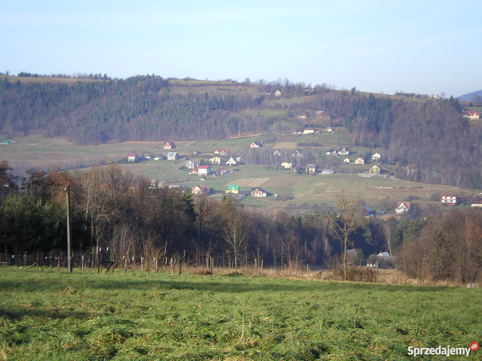 DZIAŁKA 16ar LipoweLIMANOWA asfalt Limanowa