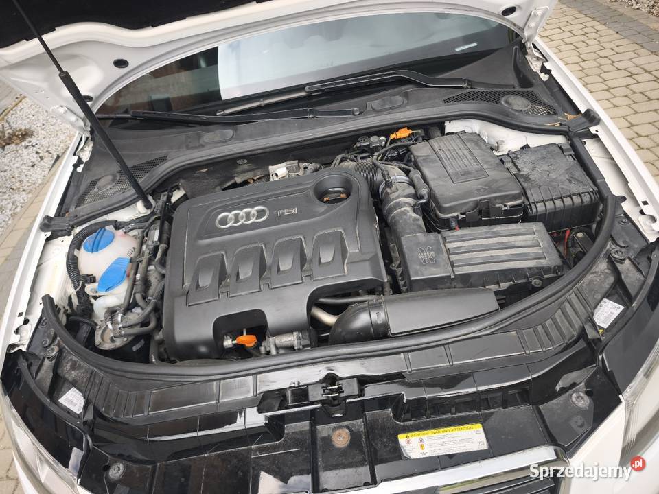 Audi A3 8p Sportback lift panorama xenon SLine manualna Opoczno sprzedam