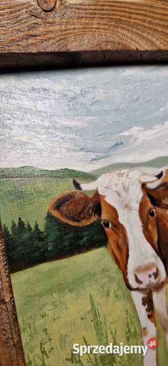 Obraz olejny ręcznie malowany Krówka piękna Malarstwo Męcina