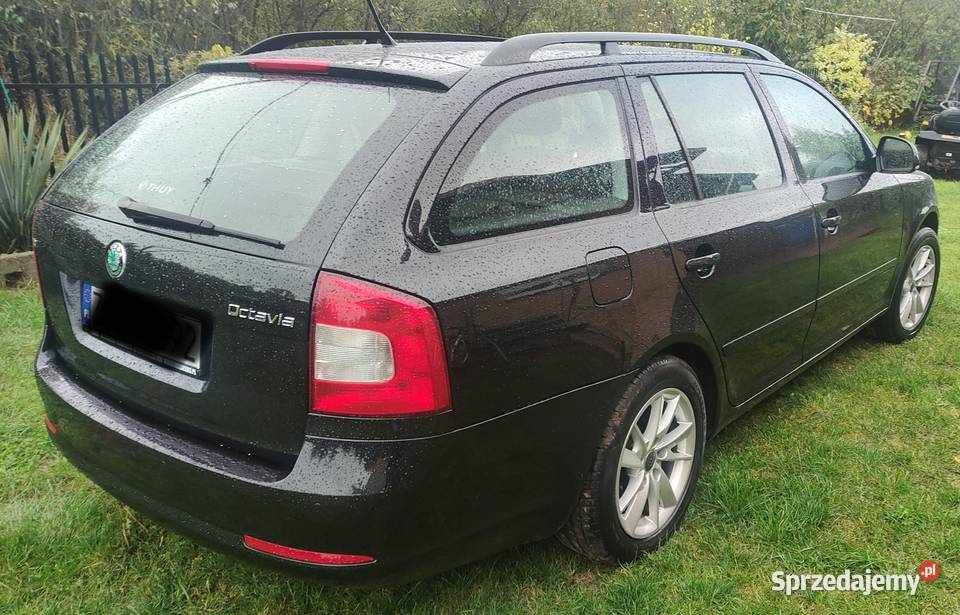 Skoda Octavia Goleniów