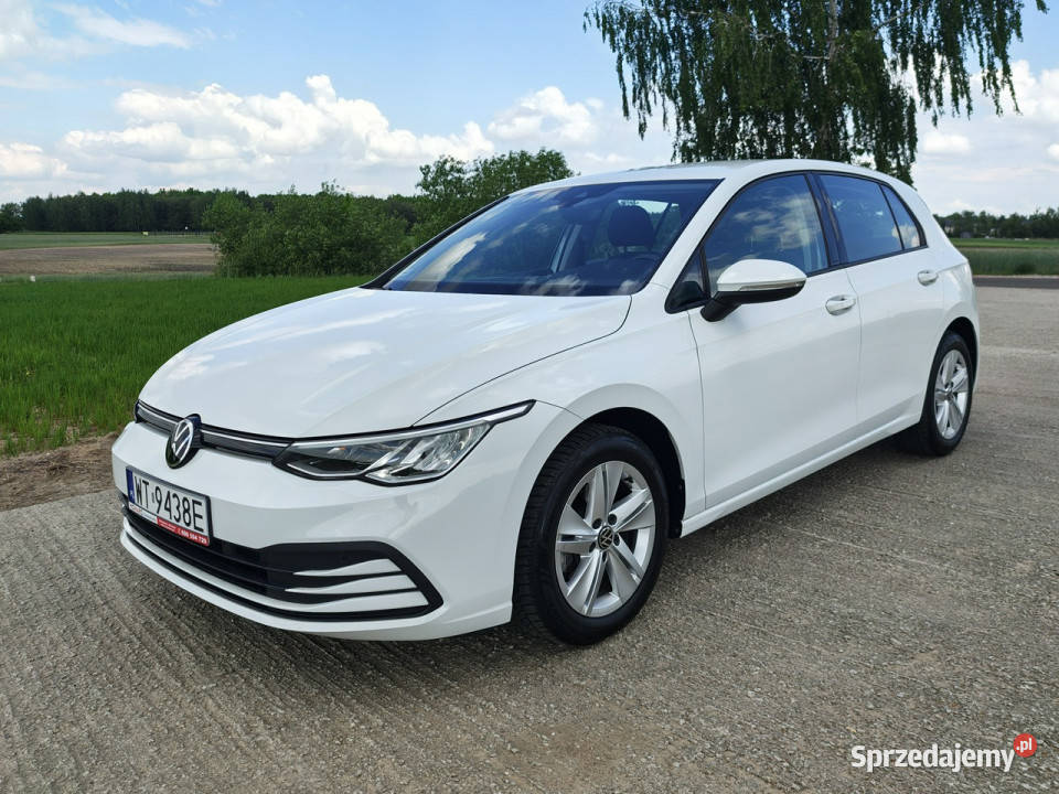 Volkswagen Golf Hatchback LIFE 15 TSI 130 Salon Włocławek