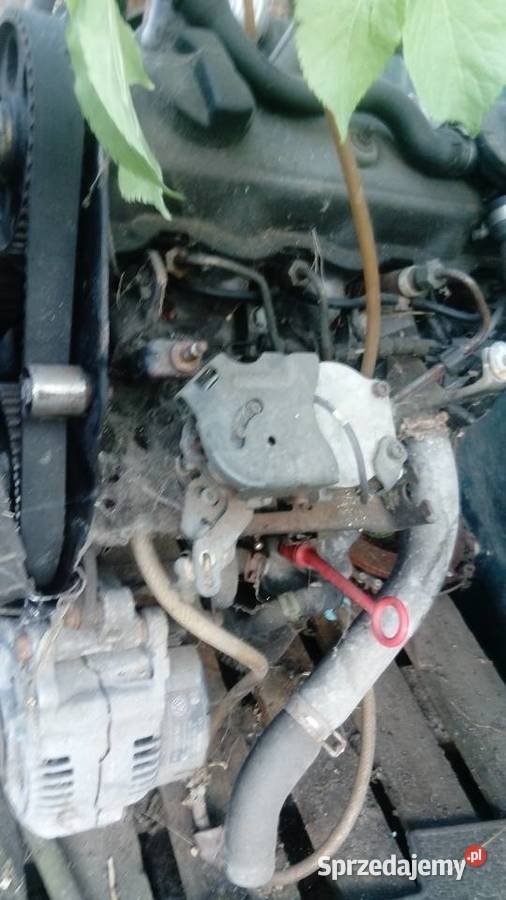 tdi lubelskie Włodawa