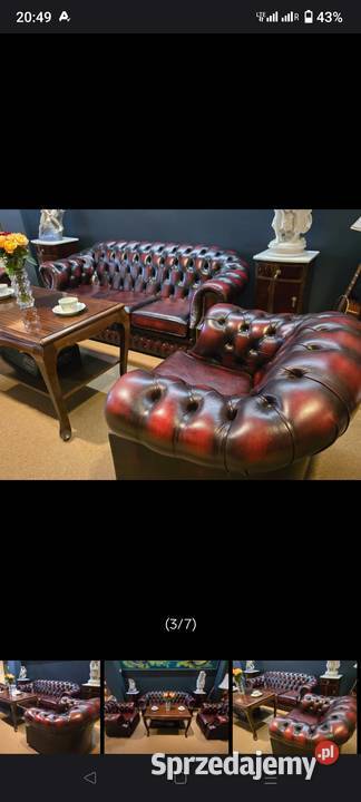 Chesterfield angielski Biała Podlaska