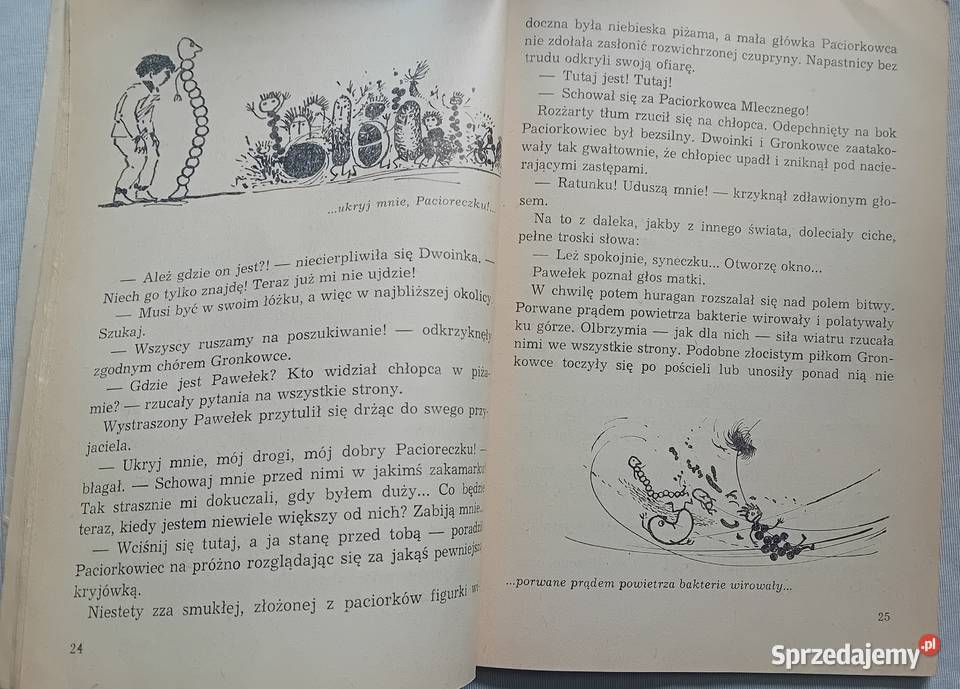 Hanna Zdzitowiecka Wśród niewidzialnych wrogów i