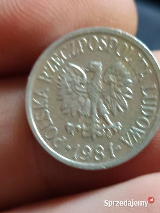 Sprzedam 10 gr 1981 r skretka Numizmatyka Numizmatyka lubelskie Chełm