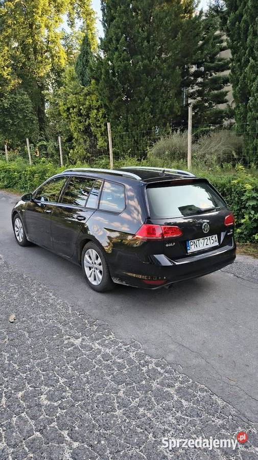 VW Golf VII Wariant 10 115