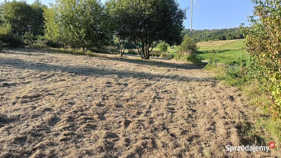 Sprzedam działkę w miejscowości Hłudno ok 28ar rolna podkarpackie