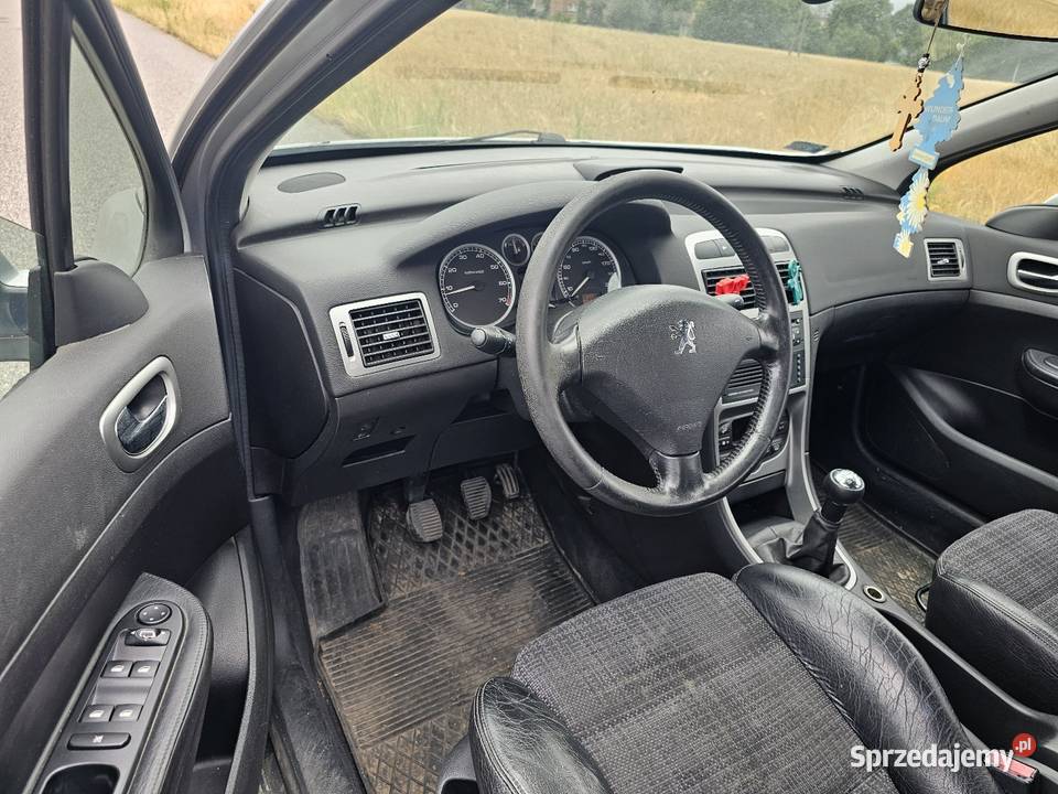 Peugeot 307 16 benzyna benzyna Chotynin