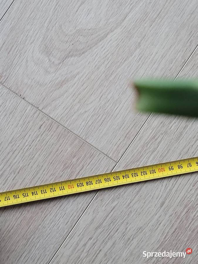 Aloes 100 rozpiętości i wysokości z doniczką Poznań