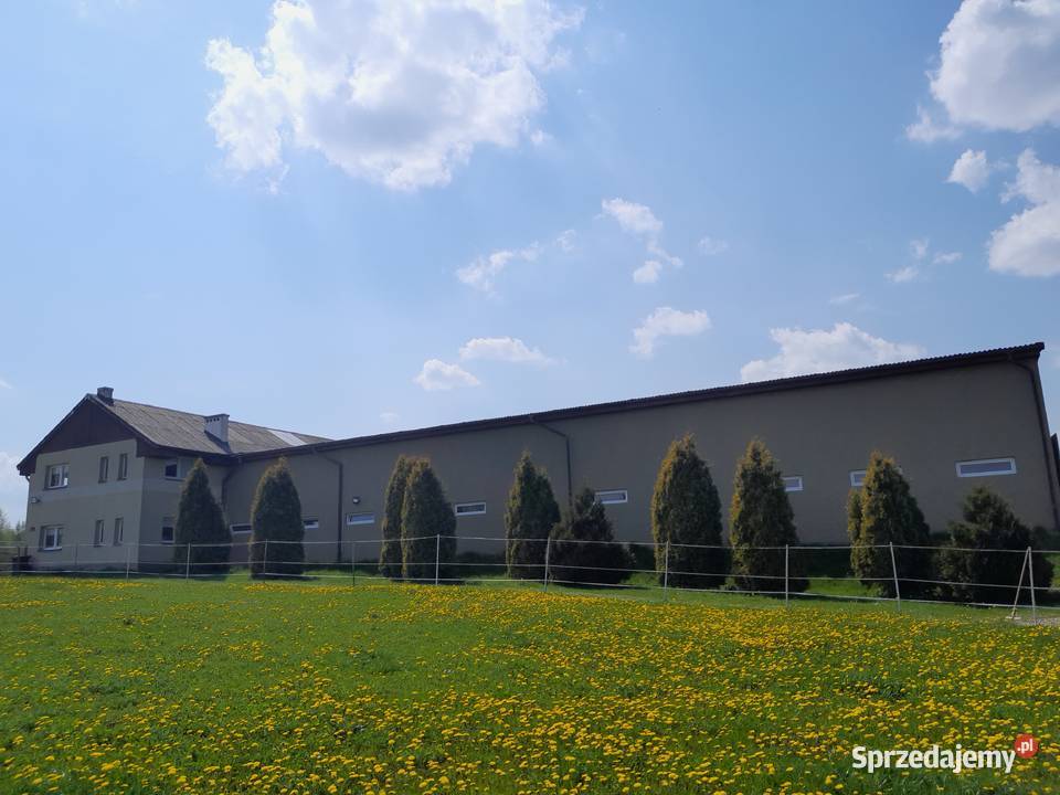 Ośrodek jeździecki stajnia pensjonat hotel koni Bodzanów