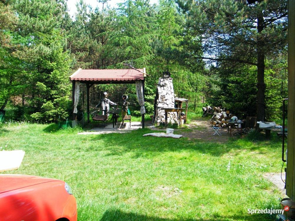 Cicha i spokojna okolica Żarki