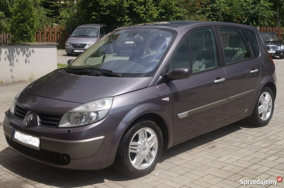 Renault SCENIC 1,9dci 120KM 2004r Tarnów Sprzedajemy.pl