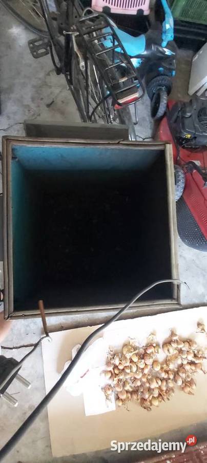 Zbiornik z podajnikiem Kotły i Piece CO Inowrocław