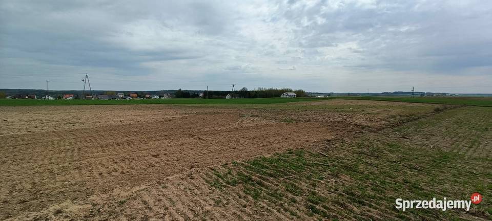 Sprzedam działki budowlane Sprzedaż Górzno