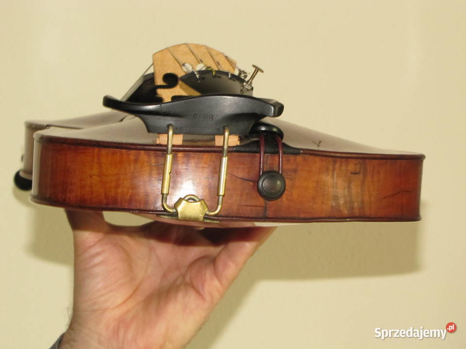 Altówka Lutnicza altówki Świdnica Polska