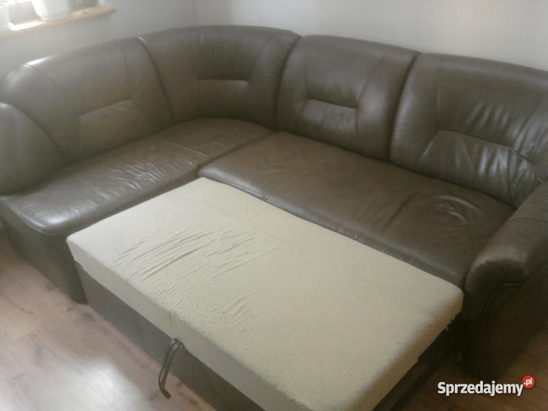 HOLENDERSKI NAROZNIK SKORY małopolskie sprzedam