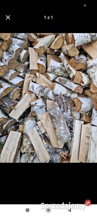 Drewno kominkowe brzoza