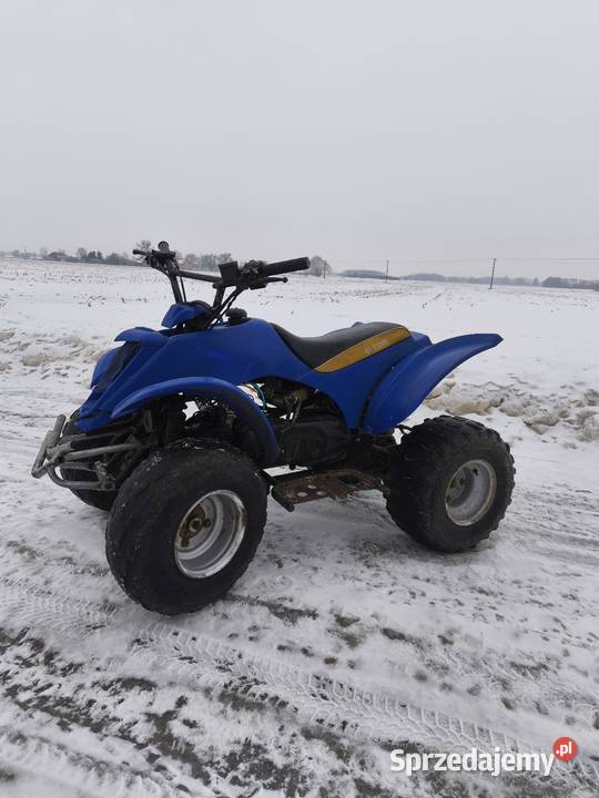 Quad ETON 90CCM 2T Pozostałe Gostynin sprzedam