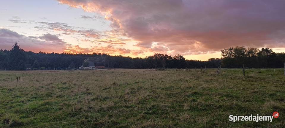 Działki z warunkami zabudowy NOWOGARD CZERMNICA