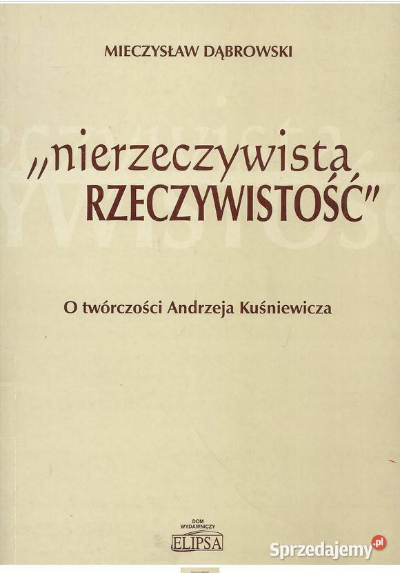Nierzeczywista rzeczywistość O twórczości Łódź sprzedam