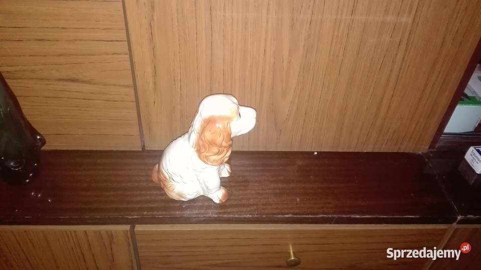 Porcelanowy piesek Warszawa
