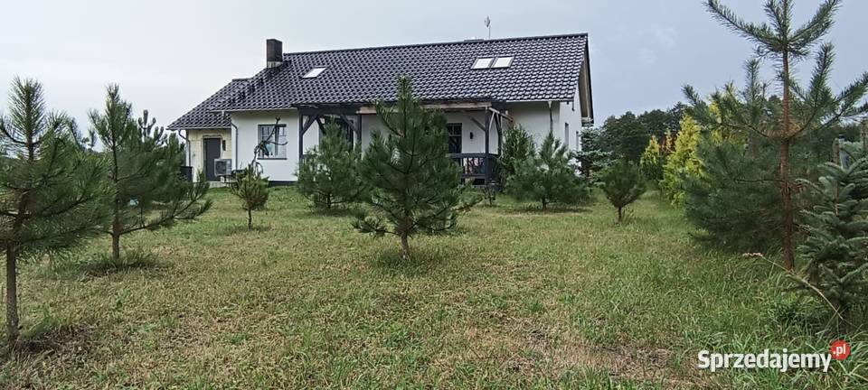 Dom 120 M2 10 Chełma 4letni Brzeźno