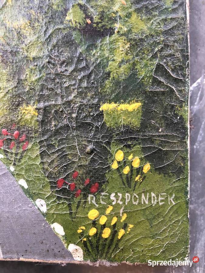 Obraz spała łódzkie Łowicz sprzedam