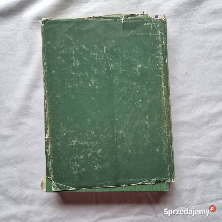 Narodziny Islamu Brzesko