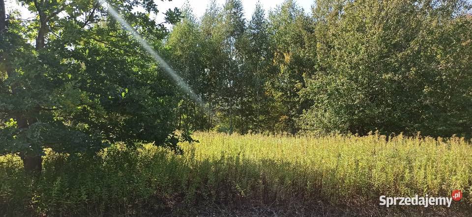 BEZPOŚREDNIO WŁAŚCICIEL Sprzedam Działkę 1500 m2 Grunty i działki Otwock