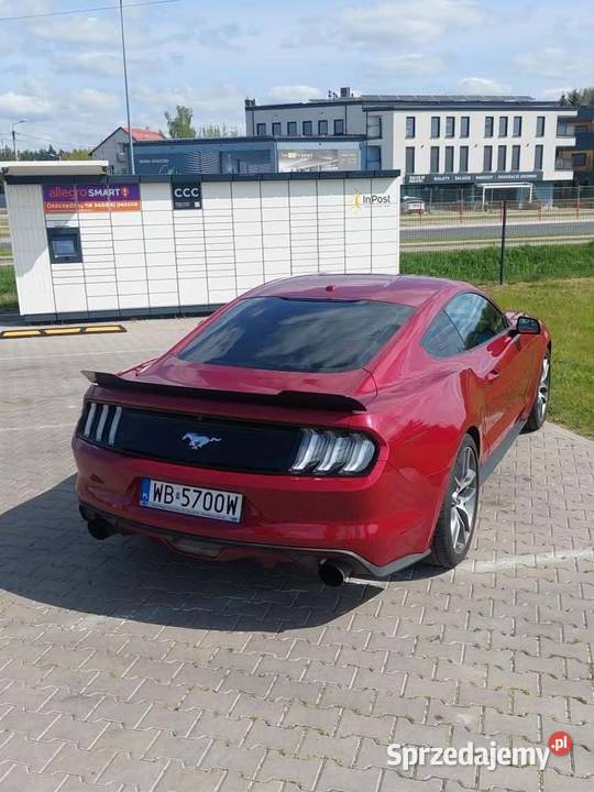 Ford Mustang Premium mazowieckie