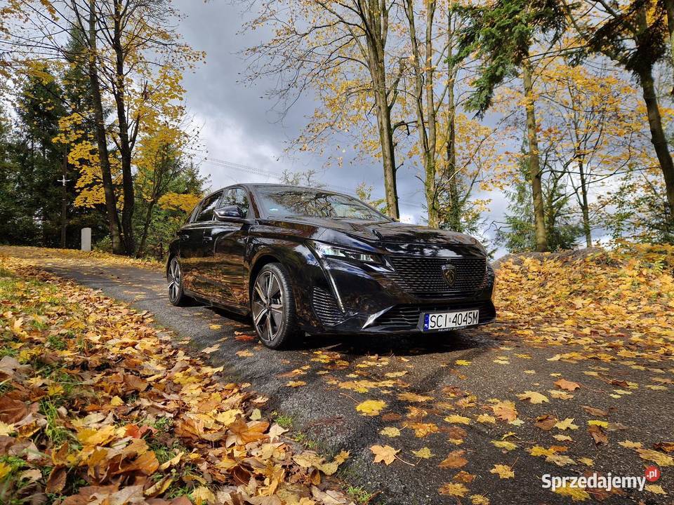 Peugeot 308 GT 12 Turbo 2021 Zadbany