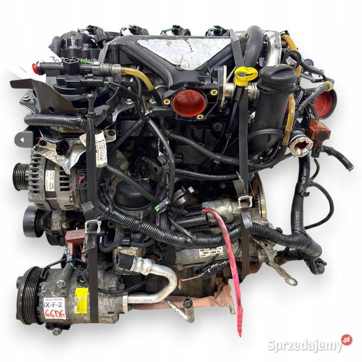 SILNIK G6DG Ford Kuga 20 TDCI 136 diesel osobowe Chełm sprzedam