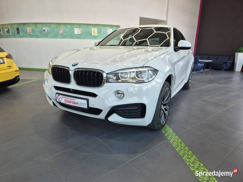 BMW X6 BMW X6 xDrive30d M PAKIET POLSKI SALON Łaziska Górne