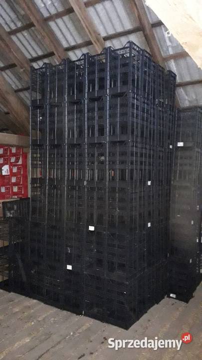 skrzynki plastikowe na pomidory cebulę koper Pruszcz Gdański