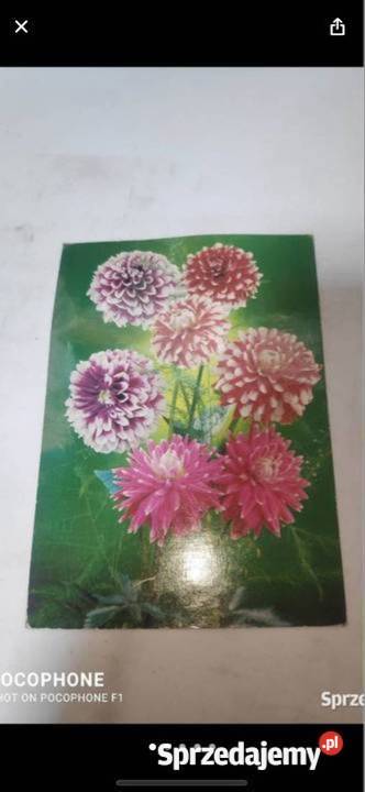 Stare pocztówki widokówki Gliwice