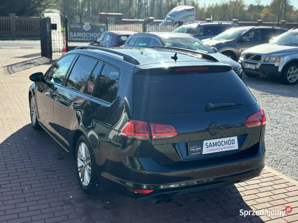 Volkswagen Golf Gwarancja Navi Bluetooth Ksenon Sade Budy