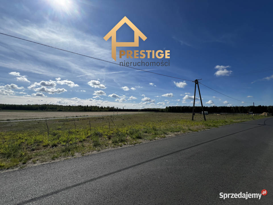 Działka budowlana Synogać 1427 m2 z Warunkami Wierzbinek
