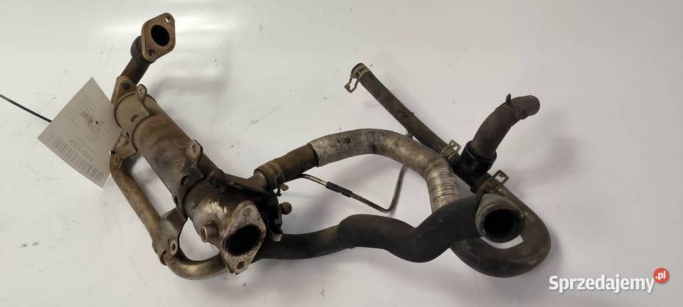 CHŁODNICA EGR DODGE JOURNEY 03G131512AH Lipno