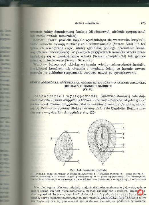 Zarys farmakognozji Borkowski medycyna farmacja łódzkie sprzedam