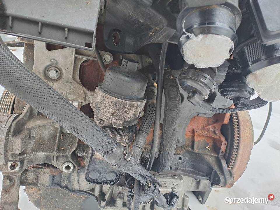 Citroen Peugeot 20 Blue HDi 150 silnik kompletny osobowe Jastrzębie-Zdrój