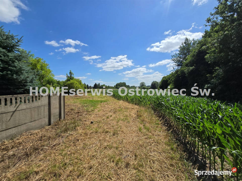 Grunt sprzedam 3500m2 Ćmielów