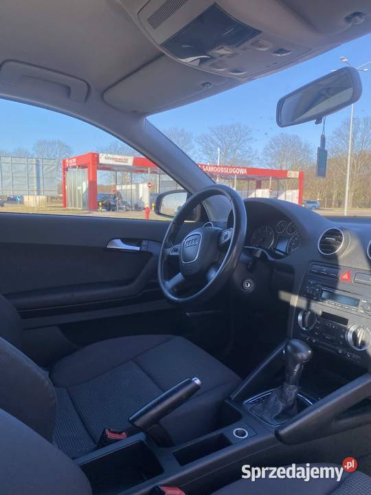 Audi A3 8P 19 TDI Wschowa sprzedam