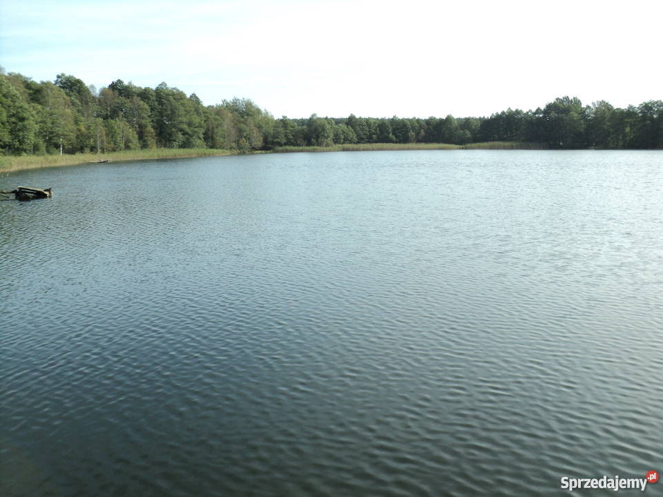 jezioro z ziemią Gorzów Wielkopolski