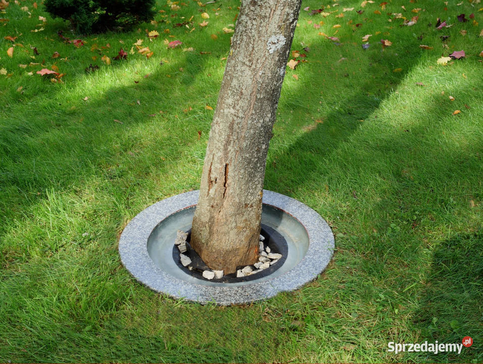 Obrzeże trawnikowe wokół drzew śr 40 Ogród Dębica sprzedam