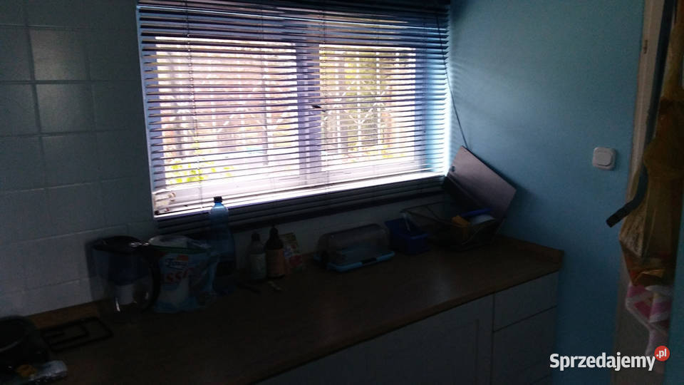 Działka ROD Złgotowska II z altaną polna Poznań