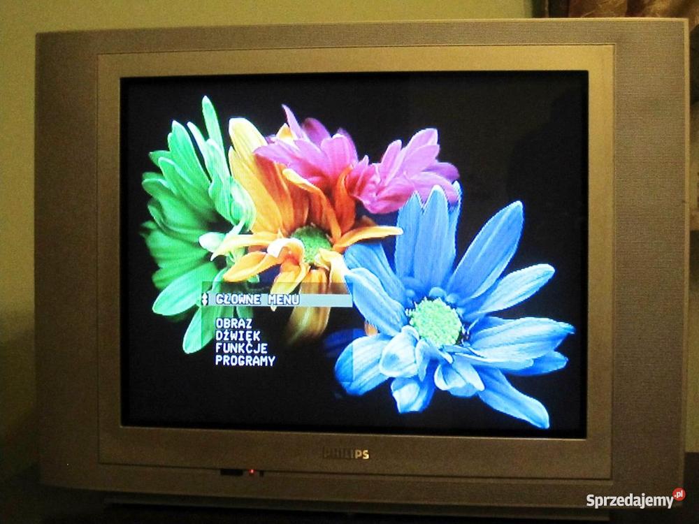 TV telewizor PHILIPS 29 100Hz 29PT850712 pilot 1 Component Kraków sprzedam