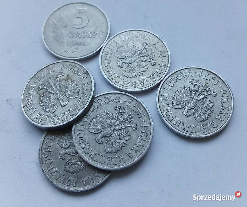 POLSKA5 GROSZY191 rzzmAL6 SZTUK